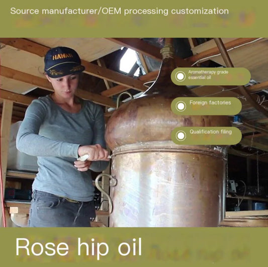 Cold-Pressed Rosehip Oil for Aromatherapy Skincare